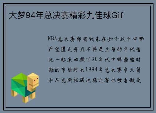 大梦94年总决赛精彩九佳球Gif