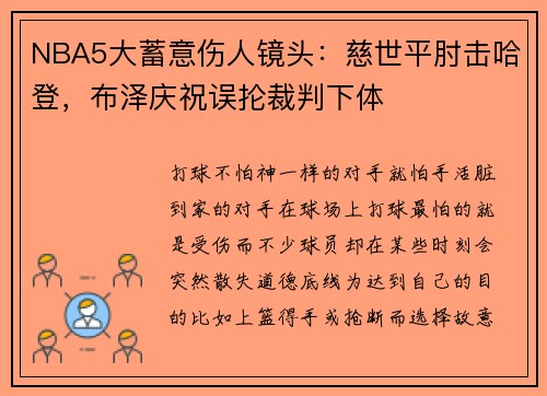 NBA5大蓄意伤人镜头：慈世平肘击哈登，布泽庆祝误抡裁判下体