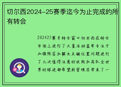 切尔西2024-25赛季迄今为止完成的所有转会
