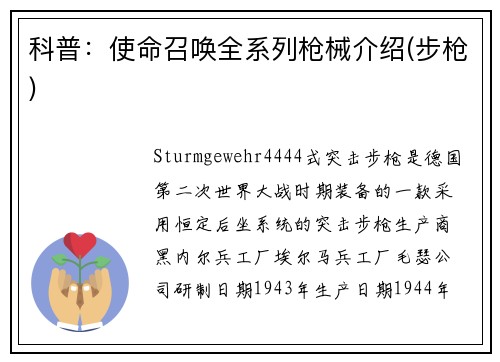 科普：使命召唤全系列枪械介绍(步枪)